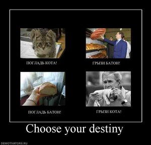 372887_choose-your-destiny.jpg