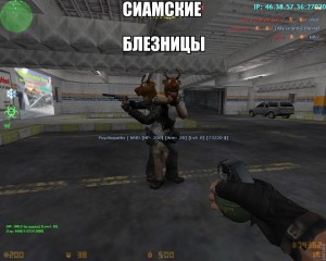 roflbot.jpg