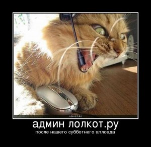 admin-lolkot.ru_1269458905.jpg