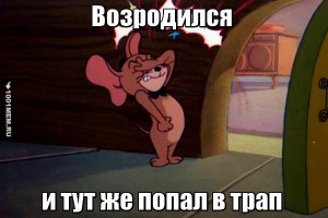 загруженное (3).jpg