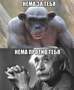 Безымянный.jpg